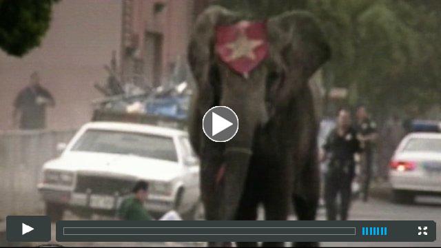 Tyke Elephant Outlaw Trailer