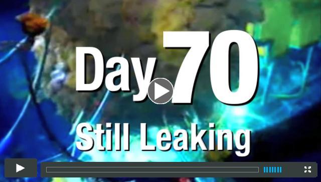 Oil Spill Timeline