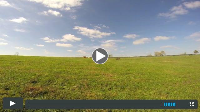An Autumn Day at Hidden Brook Farm
