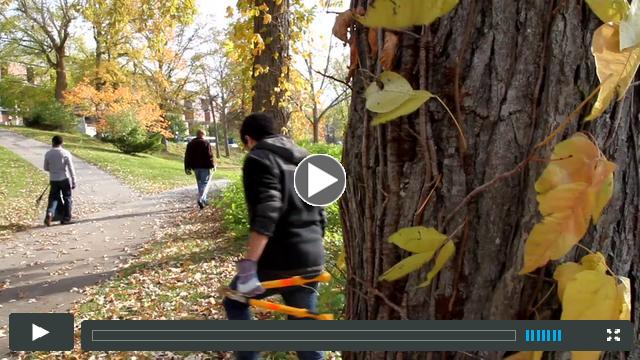 Nothing is softer or more flexible than water, yet nothing can resist it. Lao Tzu 