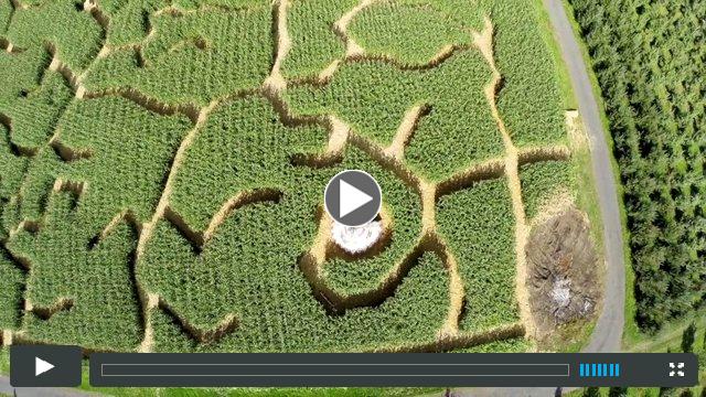 EZ Orchards Corn Maze 720p