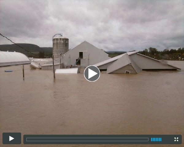 SkeeterNYC video of Middleburgh dairy farmers impacted by Hurricane Irene