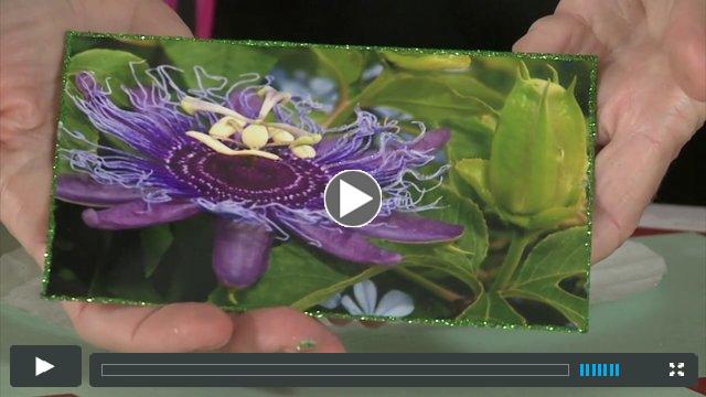 How to Add Glitter Accents to a Photo