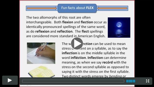The root FLEX
