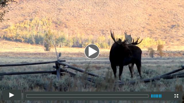 Teton Changes