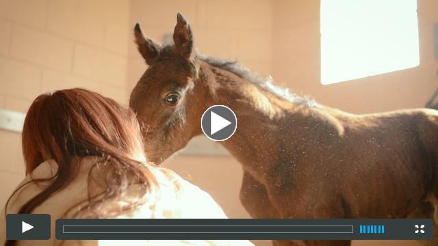 Epona Elleison - First of the Three Miracle Foals (produced by Nick D'Amico)