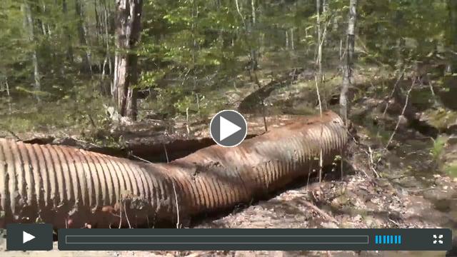 Camp Bishopswood: $40,000 from its goal.