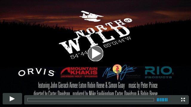 North of Wild Trailer