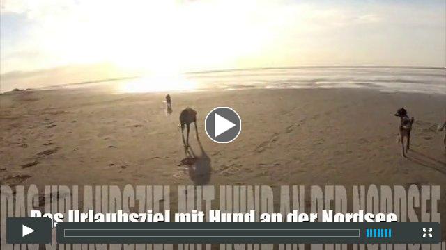 Ferienwohnung bei den Deichpfoten