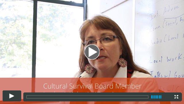Lesley J. Kabotie (Crow), Cultural Survival Board Member