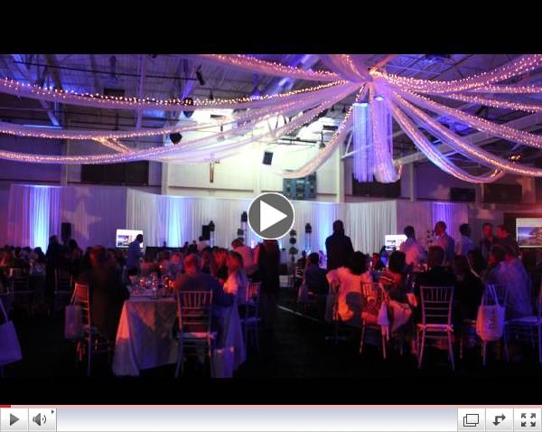 Blue and Gold: An Evening Under the Stars