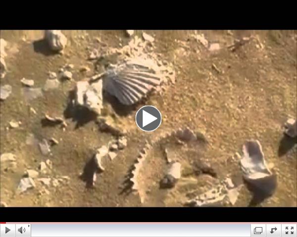 Helwa ya Baladi MPEG 2 Program stream, 15 Mbps