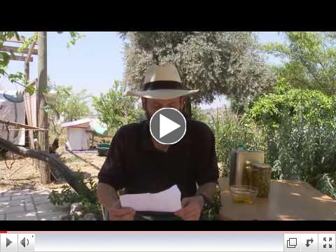 The Weisman Family Explain Shmita from their Farm in Israel
