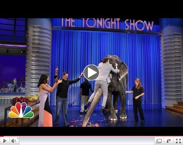 Jeff Musial Introduces Jimmy to an Elephant