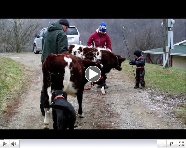 Training Nara and Narayana for First Time