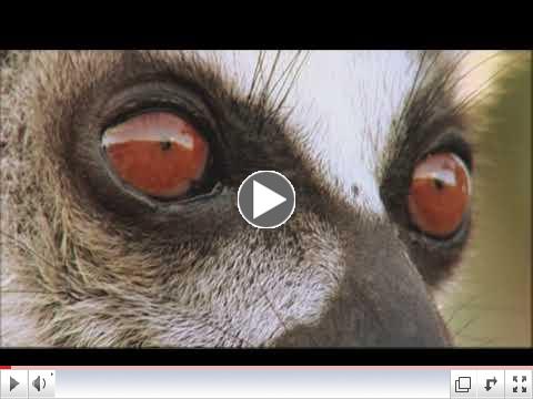 Discovery Channel - The World Is Just Awesome