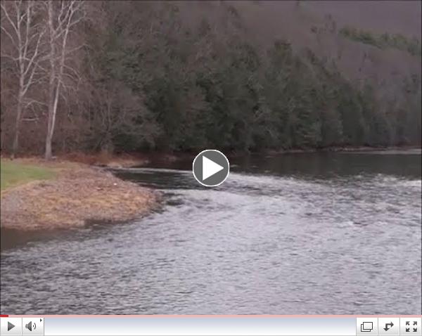 Merry Christmas on Pine Creek - From The Shop To You