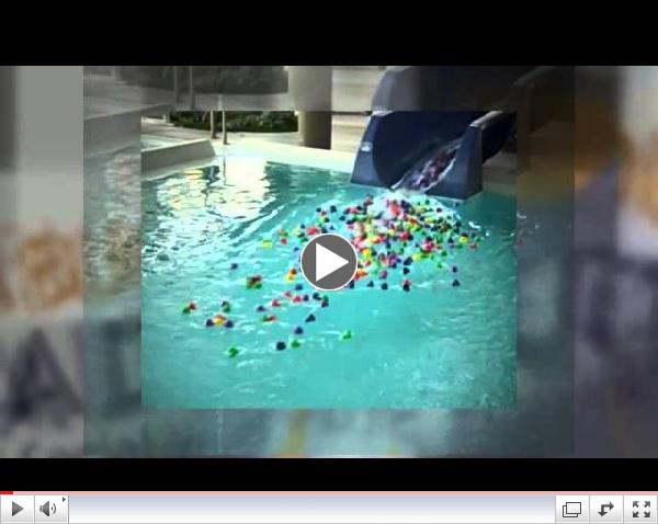 Give a Buck, Get a Duck- 2014 Student Giving Campaign