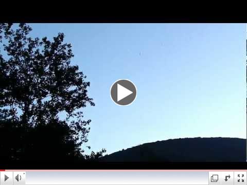 Video of fall fly hatch on Pine Creek (watch the sky carefully) - Slate drakes, cahills