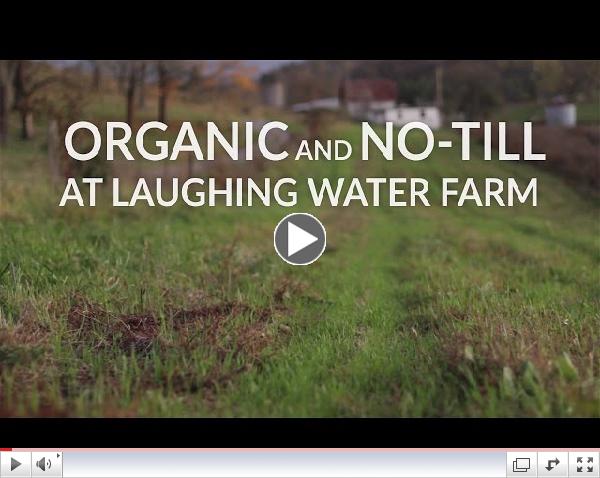 Organic and No-Till at Laughing Water Farm