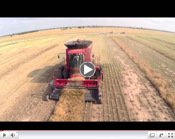 Harvesting Canola in Noble County Oklahoma, June 2014