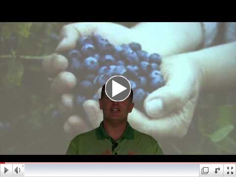 Fruitfulness!
