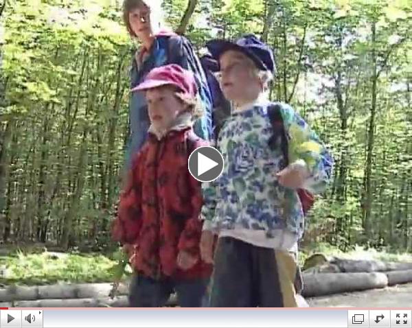 Toys don't last forever, but experiences do! Forest Kindergarten in Germany Part 1 Trailer