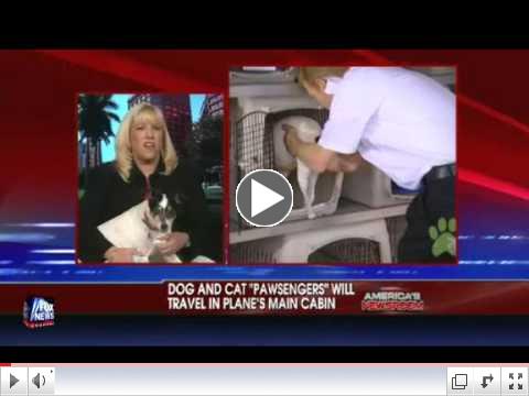 Pet Airways on Fox News