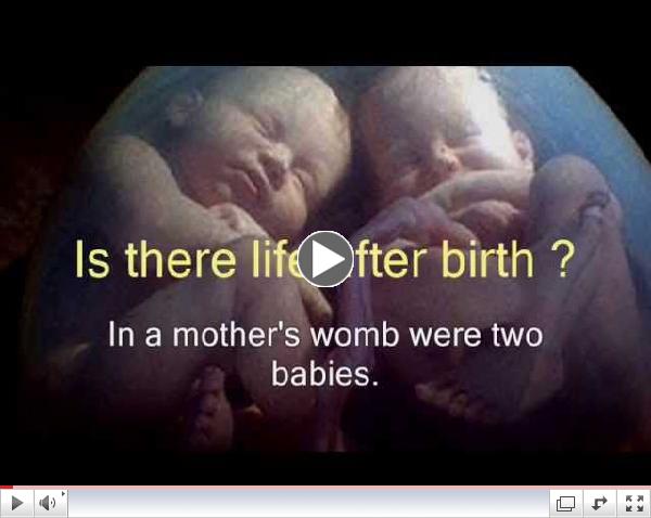 Is there Life after Birth ?