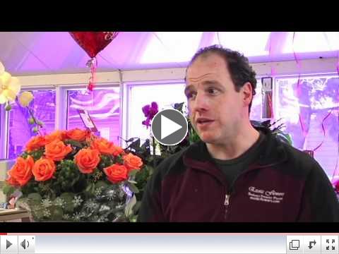 Exotic Flowers Video - Boston, MA - Retail Shopping