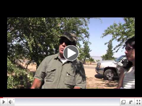 Project Apis m.- Planting a Cover Crop - For the Grower!