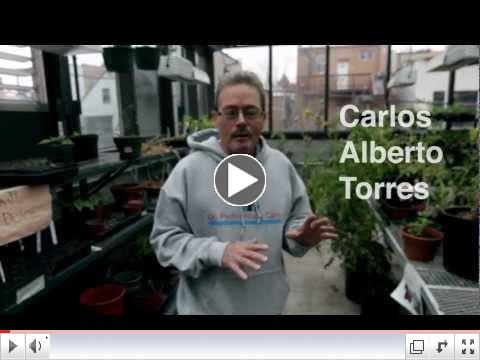 40th Anniversary Interview with Carlos Alberto Torres, PACHS Co-Founder