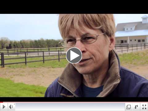 Buckley Steel Board Horse Fence