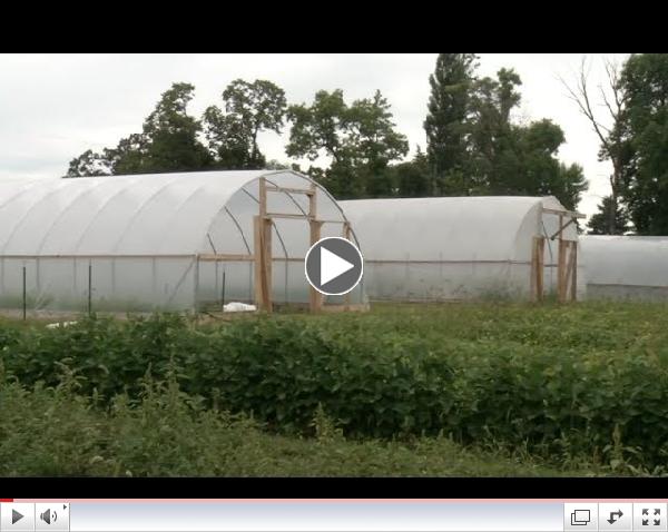 Prairie Yard & Garden: High School and High Tunnels