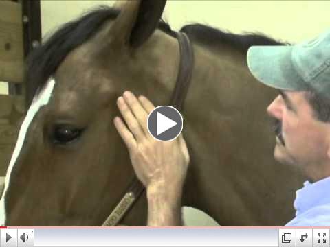 The Masterson Minute; Working on the TMJ