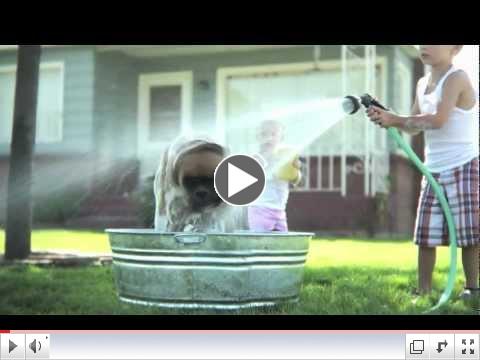 Coldwell Banker Real Estate: Pets