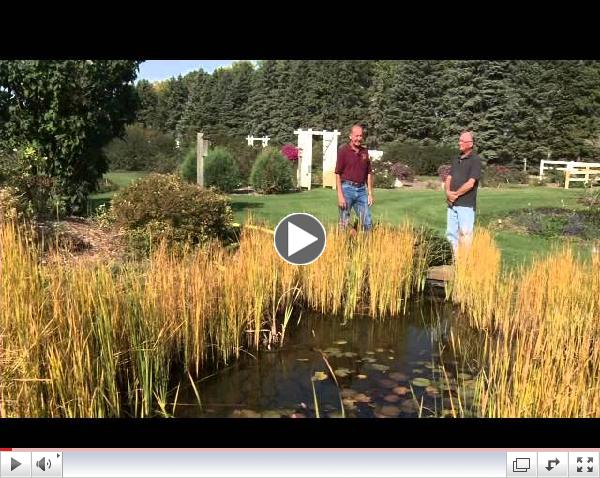 Prairie Yard & Garden: Fall Water Pond Maintenance