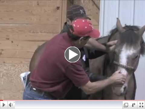 Masterson Minute April