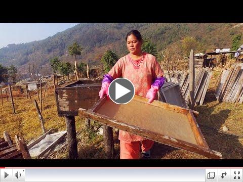 Sustainable  sourcing from Nepal