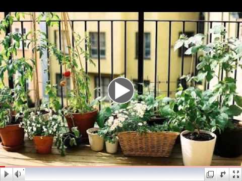 Small balcony garden ideas