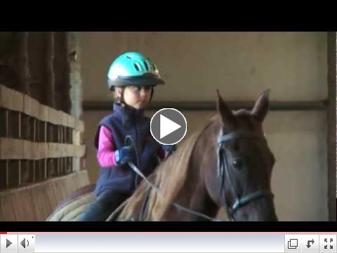 Cash Lovell Stables Fall Festival 2011 - Winston-Salem Horse Riding lessons
