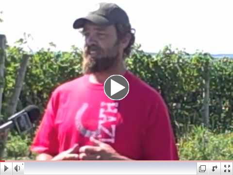 2011 Grape Harvest Kick-off!