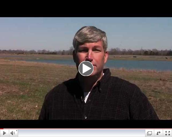 U.S. Farm Raised versus overseas catfish
