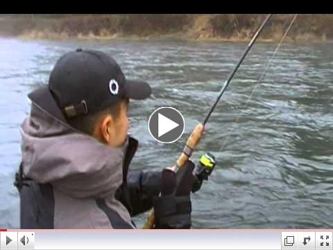 Huge Big Steelhead fishing Blue Creek