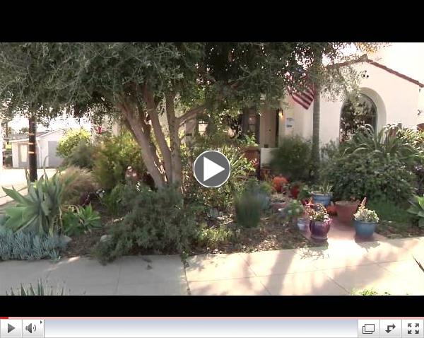 Designing the new California Ocean Friendly Yard