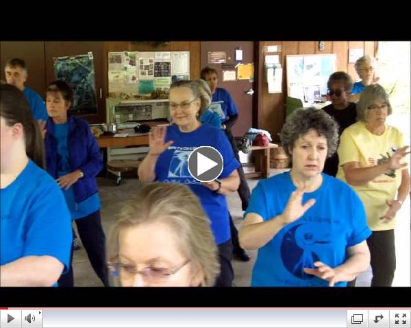 World Tai Chi Day 2013 Auburn Alabama