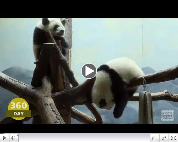 The First Year of Mei Lun and Mei Huan