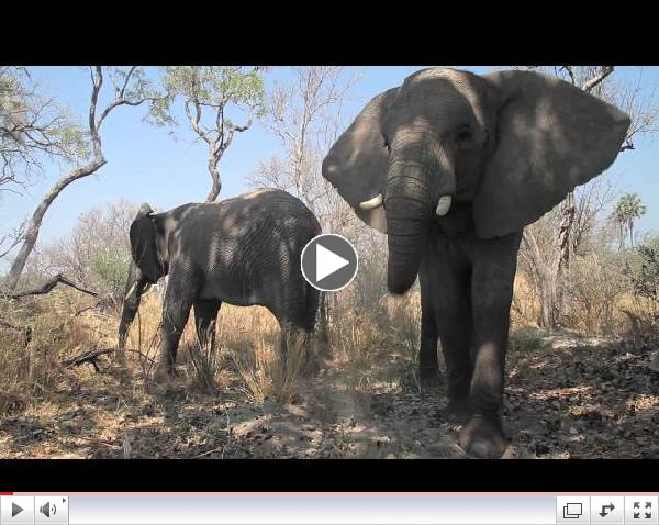 Empowers Africa video by Born to Explore's Host & Executive Producer, Richard Wiese