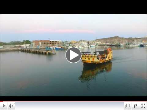 Drone Video of Marina