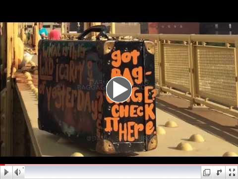 Daria Sandburg's Baggage Claim Project